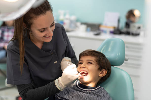 Best Emergency Cosmetic Dentistry in Park River, ND